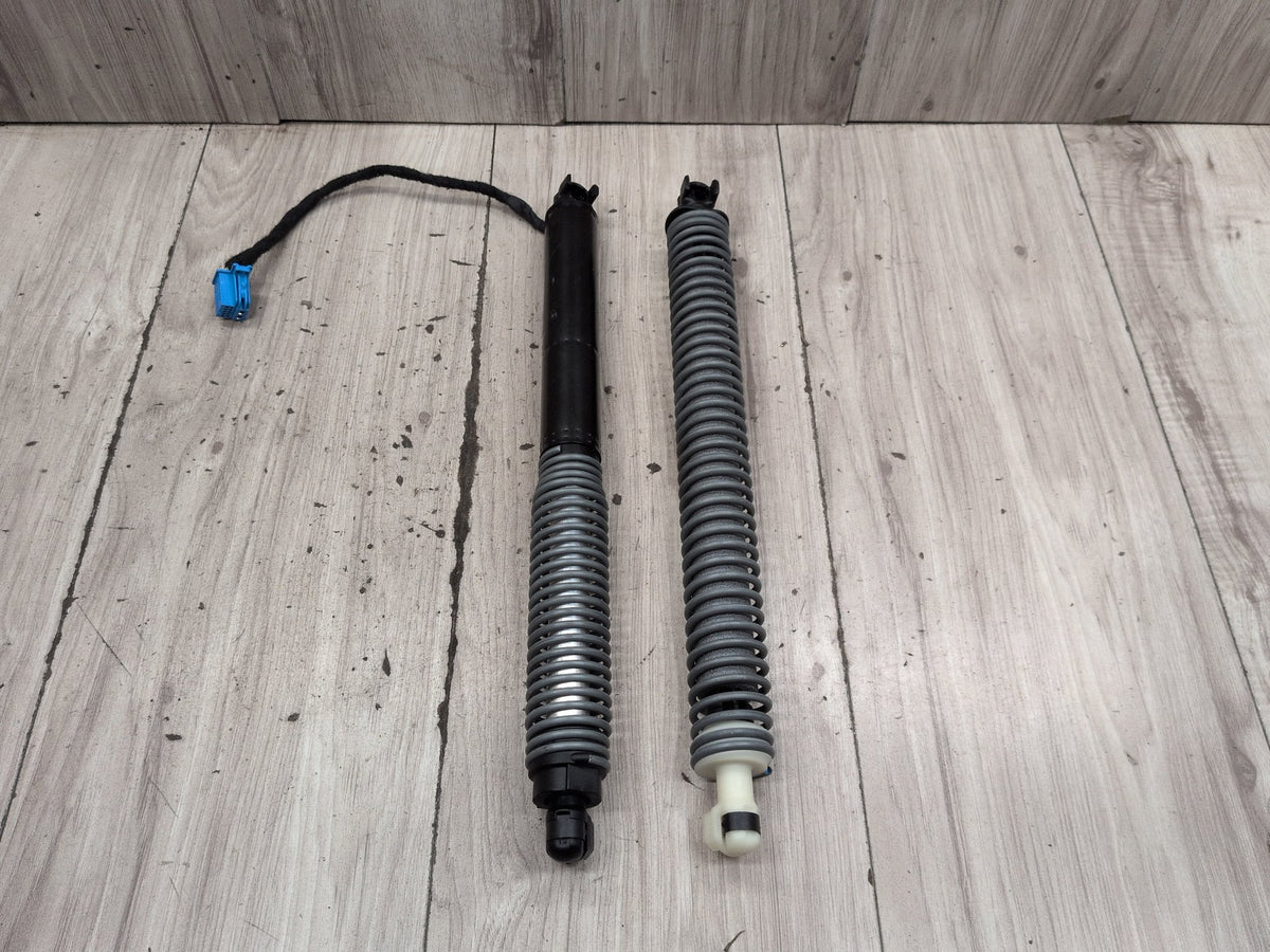 2016-2019 BMW 740Li G12 Liftgate Trunk Lid Strut Shock Supports SET 8737930 OEM