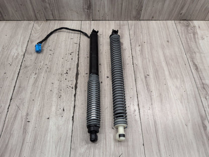 2016-2019 BMW 740Li G12 Liftgate Trunk Lid Strut Shock Supports SET 8737930 OEM