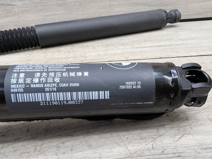 18-24 OEM BMW G01 F97 X3 X3M Rear Left Right Liftgate Shock Strut Lift Supports