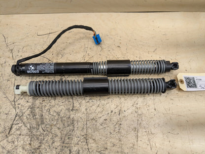 2018-2023 BMW M550i G30 Liftgate Trunk Lid Strut Shock Supports SET 7366404 OEM
