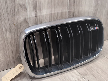 2015 - 2019 BMW X6 F86 Front Left Right Upper Bumper Cover Kidney Grilles SET 8056769 S63B44T2