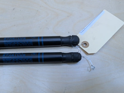 2018-2024 BMW X3 G01 Left Right Hood Bonnet Gas Strut Shock Supports SET 7397493 OEM