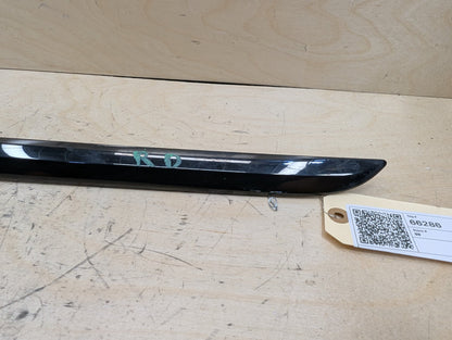 2016-2019 BMW 740i G12 Rear Left Driver Exterior Door Trim Molding 7397869 OEM