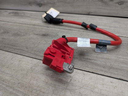 OEM BMW F01 F02 740 750 760 B7 Battery Plus Pole Terminal Positive Red Cable