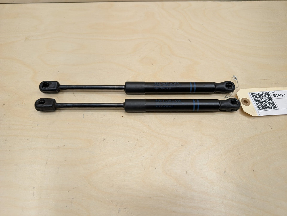 2018-2024 BMW X3 G01 Left Right Hood Bonnet Gas Strut Shock Supports SET 7397493 OEM