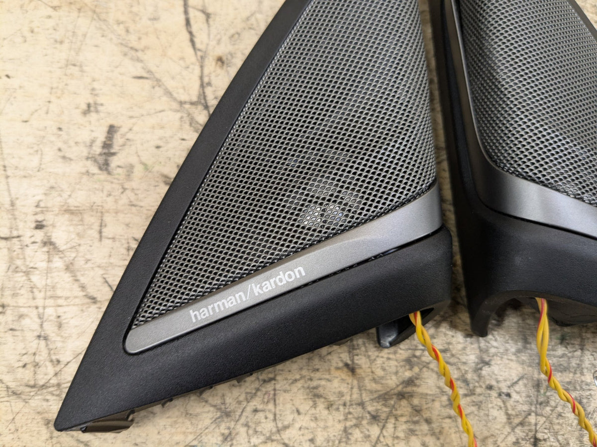 2018-2023 BMW M550i G30 Front Left Right Door Triangle Speaker 9184794