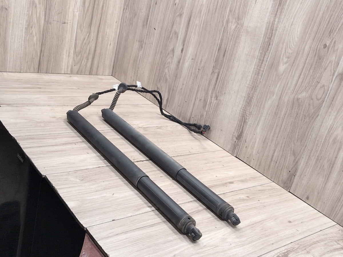 2015-2018 Audi Q3 8U Rear Left Right Liftgate Trunk Lid Strut Shock Supports SET 8U082785106S OEM