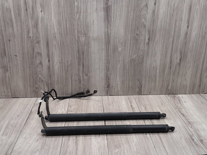 2015-2018 Audi Q3 8U Rear Left Right Liftgate Trunk Lid Strut Shock Supports SET 8U082785106S OEM