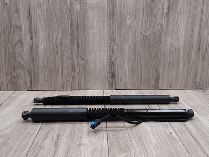 19-24 OEM BMW G01 X3 30 M40 Rear Left Right Trunk Tailgate Shock Hatch Strut