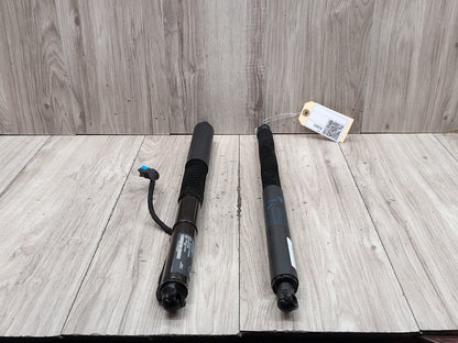 19-24 OEM BMW G01 X3 30 M40 Rear Left Right Trunk Tailgate Shock Hatch Strut