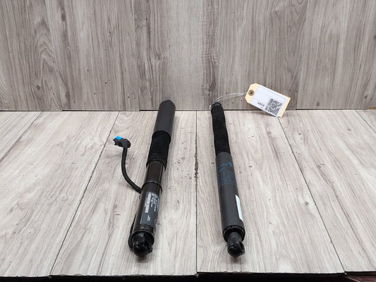 19-24 OEM BMW G01 X3 30 M40 Rear Left Right Trunk Tailgate Shock Hatch Strut