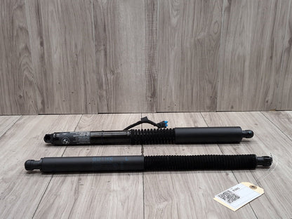 19-24 OEM BMW G01 X3 30 M40 Rear Left Right Trunk Tailgate Shock Hatch Strut