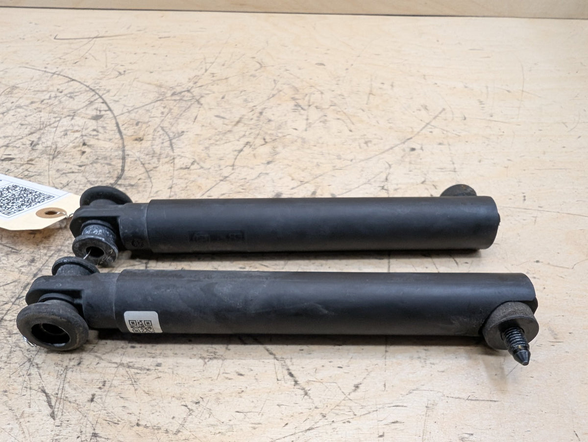 19-23 OEM BMW F95 G05 X5 G07 REAR Left Right Lower Tailgate Strut Supports PAIR