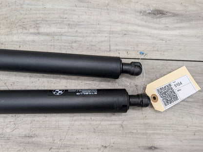 2014 - 2019 BMW 340 F34 Rear Left Right Liftgate Trunk Lid Strut Shock Supports SET 7298983 B58B30M0