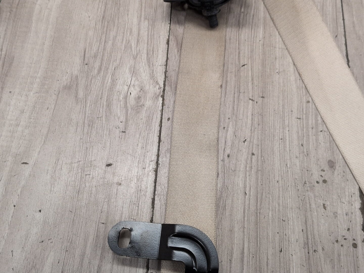 2019-2026 BMW 330i G20 Front Right Passenger Seatbelt Seat Belt Retractor 7496306