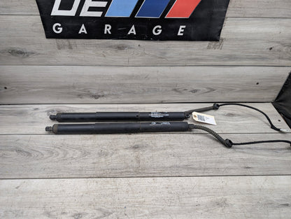 OEM BMW F15 F85 X5 X5M REAR Left Right Trunk Tailgate Shock Hatch Strut PAIR