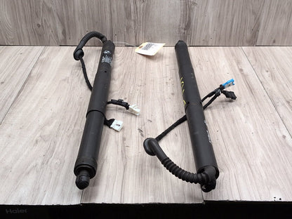 2014 - 2018 BMW X5 F85 Rear Left Right Liftgate Trunk Lid Strut Shock Supports SET 7434041 S63B44T2