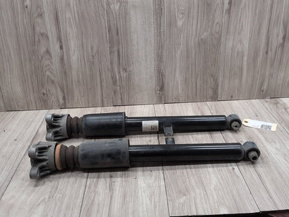 OEM BMW G20 330i Rear Left Right Driver Passenger Strut Shock Absorber SET