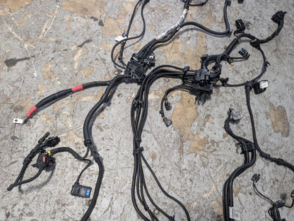2017-2023 BMW G30 530i B46B20O0 Engine Motor Transmission Wiring Wire Harness SET 8642929