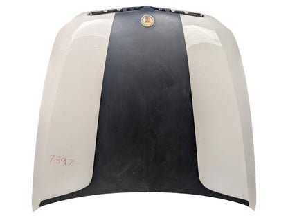 07-14 OEM BMW E70 E71 X5 X6 Hood Bonnet Panel White 300 White ALPINWEISS III (300)