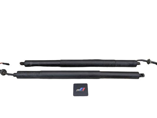 19-23 OEM BMW G05 X5 Rear Left Right Trunk Liftgate Shock Hatch Strut Supports