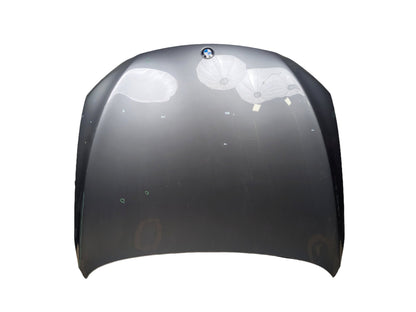 09-15 OEM BMW F01 F02 740 750 760 Front Hood Bonnet Panel Gray A52 SPACEGRAU METALLIC (A52)