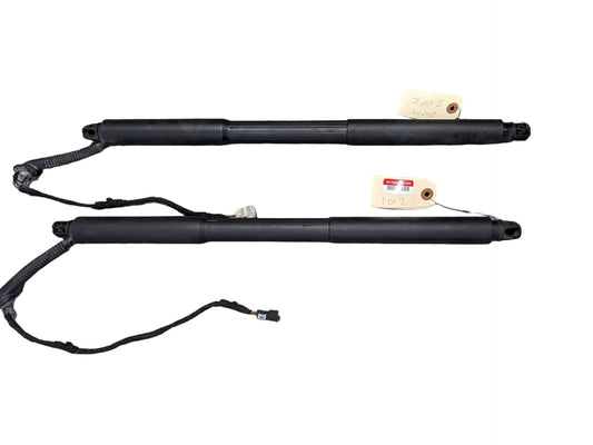 2015 BMW 328i F31 Rear Left Right Liftgate Trunk Lid Strut Shock Supports SET 7263155 12-18 OEM BMW F31 328 Rear Left Right Trunk Tailgate Shock Hatch Strut PAIR OEM