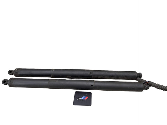 14-18 OEM BMW F15 F85 X5 Rear Left Right Trunk Tailgate Shock Hatch Strut Pair