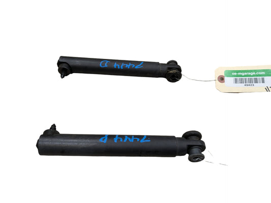OEM BMW E70 X5 X5M Rear Lower Left Right Trunk Tailgate Shock Hatch Strut PAIR