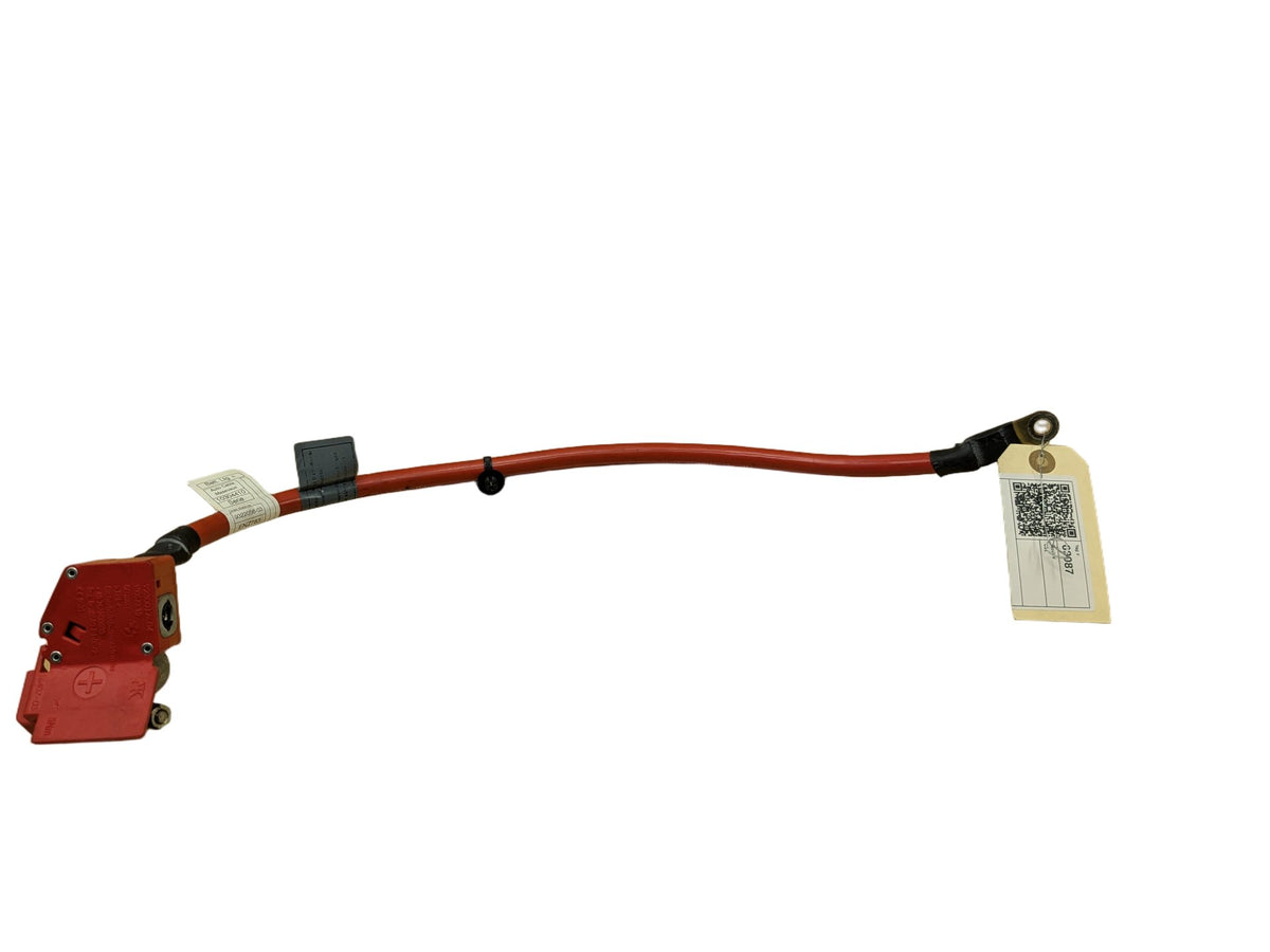OEM BMW F15 F16 F85 F86 X5 X6 X5M Positive Plus Battery Pole Terminal Red Cable