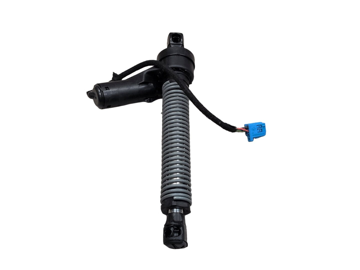2019-2026 OEM BMW G20 Rear Liftgate Trunk Lid Strut Shock Support