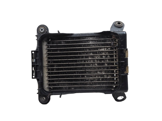 OEM BMW F22 F23 F30 F32 F33 F36 335 440 Engine Oil Auxiliary Secondary Radiator