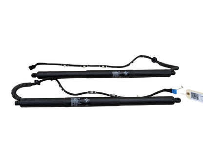 2011-2016 BMW X3 F25 Rear Left Right Liftgate Trunk Lid Strut Shock Supports SET 7432843
