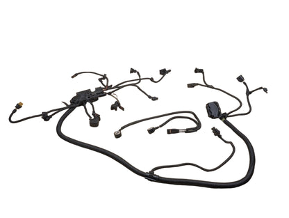 OEM BMW F10* 535 F15 F16 F25 F26 X3 X5 Engine N55 Wiring Wire Harness Module 2