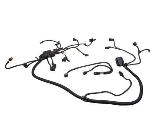 OEM BMW F10* 535 F15 F16 F25 F26 X3 X5 Engine N55 Wiring Wire Harness Module 2