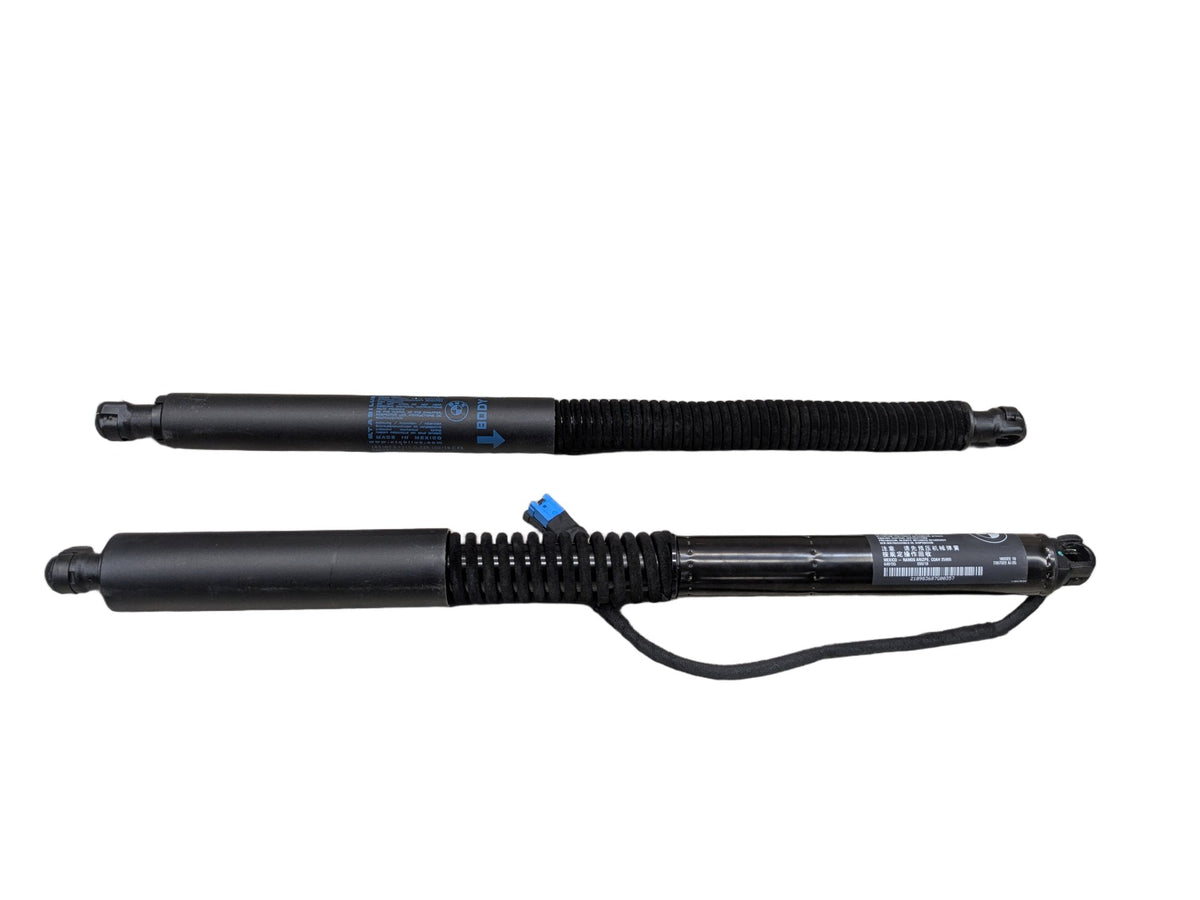 2018-2023 BMW X3 G01 Rear Left Right Liftgate Trunk Lid Strut Shock Supports SET 7397319 OEM