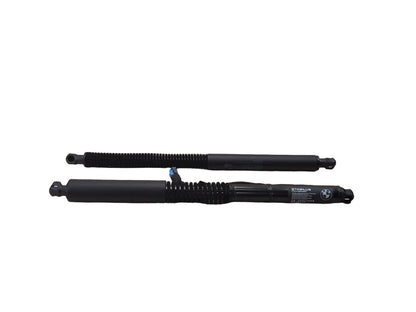 18-24 OEM BMW G01 F97 X3 X3M Rear Left Right Liftgate Shock Strut Lift Supports