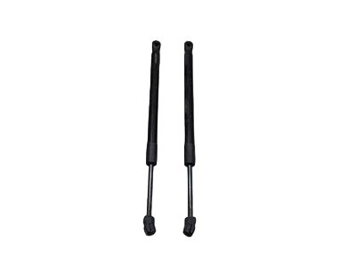 2015-2018 BMW X5 F85 Left Right Hood Bonnet Gas Strut Shock Supports SET 7294524