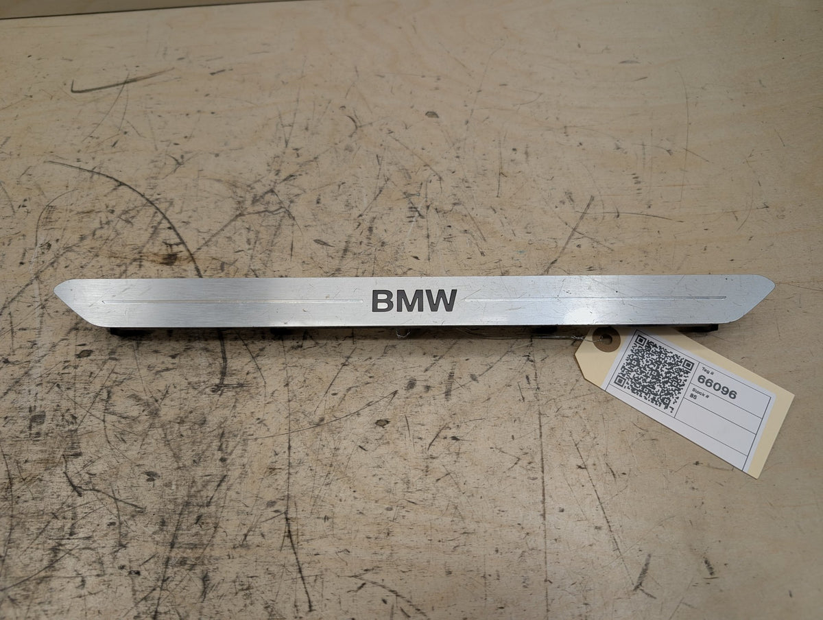 2019-2026 BMW X5 G05 Front Left Right Scuff Plate Door Sill SET 7442142 OEM
