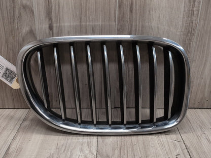 09-15 OEM BMW Front Left Right Driver Passenger M Sport Kidney Grille SET