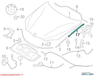 2015-2018 BMW X5 F85 Left Right Hood Bonnet Gas Strut Shock Supports SET 7294524