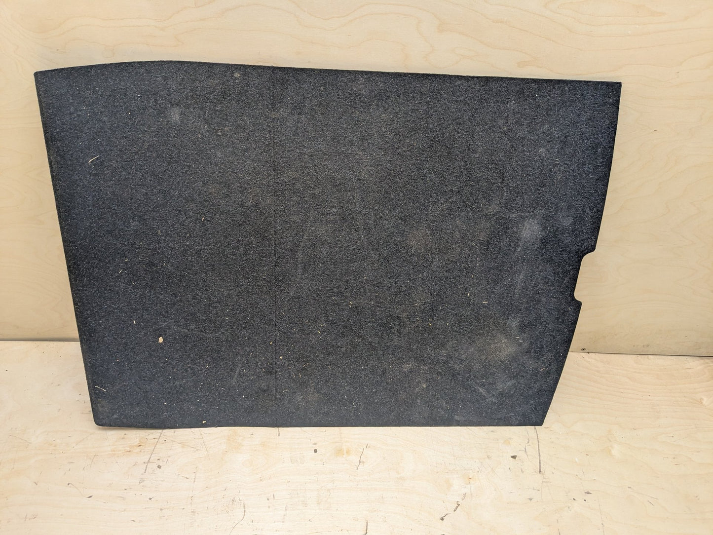 2012-2018 BMW 320i F30 Rear Trunk Cargo Floor Carpet Spare Tire Cover 7246302