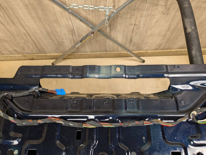 19-25 OEM BMW G05 G07 X5 X7 Rear Lower Trunk Tailgate Door Panel Deck Lid