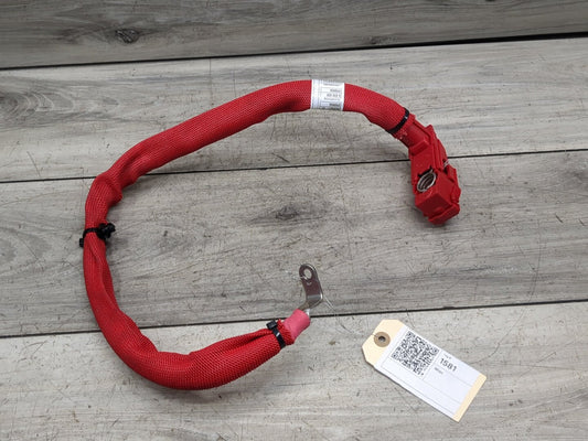 18-21 OEM BMW G01 G02 F98 X3 X4 Battery Plus Pole Terminal Positive Red Cable