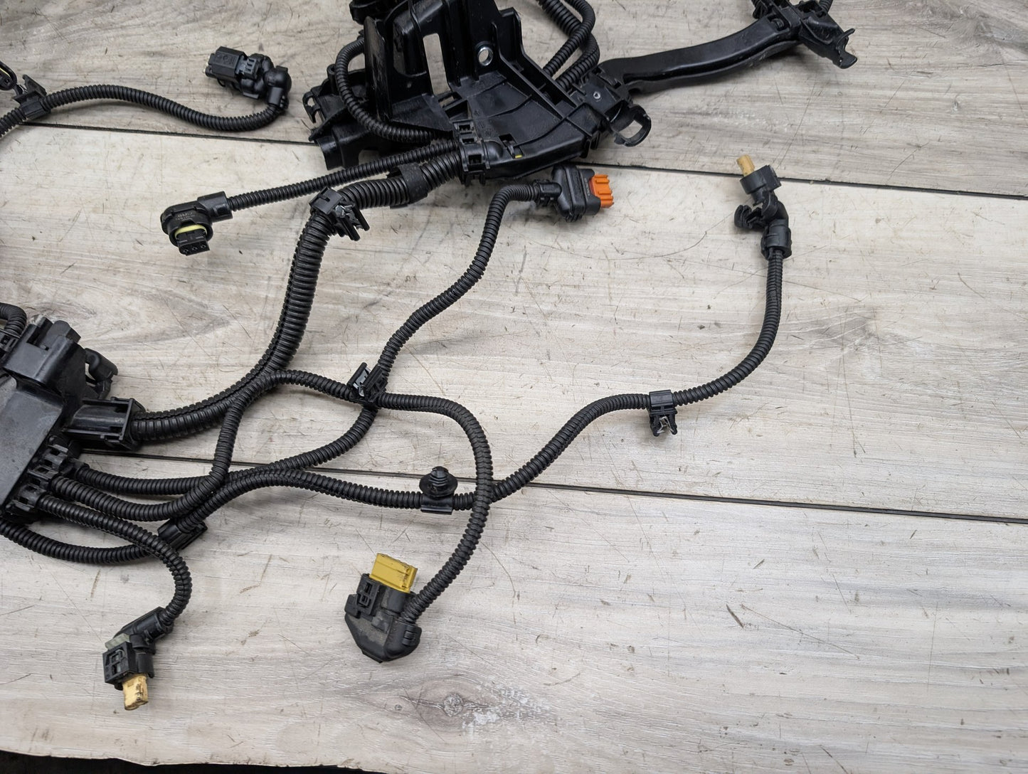 2019 - 2026 BMW 330i G20 Engine Motor Wiring Wire Harness 5A01D59 B46B20O1